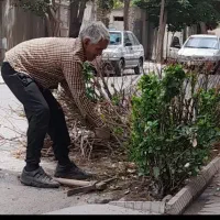 باغبانی و تیلرهرس در تمام نقاط مشهد
