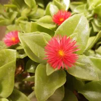 راهنمایی بلیط تهران استانبول