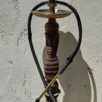 دوسیب آلبالو یک ساله