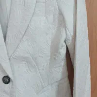 دو عدد کت شیک|لباس|ابریشم, |دیوار