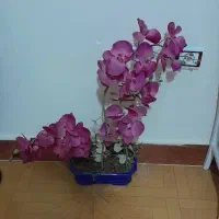 گلدان وگل مصنوعی خارجی هست