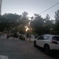 همخانه همخونه کاوه