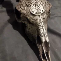 دیوار کوب طرح شاخ گوزن|مجسمه، تندیس، ماکت|فردیس, فردیس|دیوار