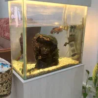 فروش آکواریوم ۷۰ در ۷۰