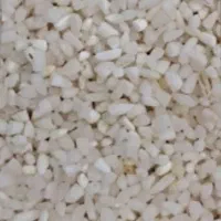 برداشت امسال شوشتر نیم دانه و  دانه کامل