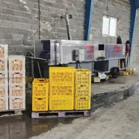 دستگاه گرما درمانی پرتقال