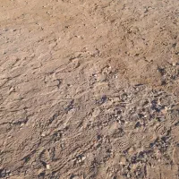 زمین-فروشی-اشکذر