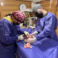 استخدام نیروی کار ساده