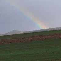 زمین کشاورزی  بانیاران