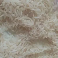 فروش 30 کیلو برنج در 3 گونی 10 کیلویی|خوردنی و آشامیدنی|رشت, آزادگان|دیوار