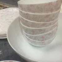 سرویس ارکوپال|ظروف سرو و پذیرایی|ری, شهادت|دیوار