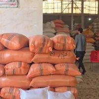 پخش/برنج/|عمده‌فروشی|تهران, شهرک هما|دیوار