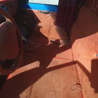 فروش نیسان|خودرو سواری و وانت|قزوین, |دیوار