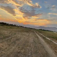 نیازمند کارگر