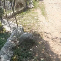 فروش زمین ۱۲۵۰ متری باغی   با بر  ۳۳متری|فروش زمین و ملک کلنگی|چابکسر, |دیوار