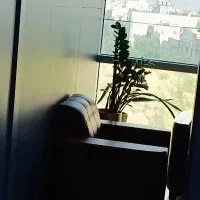 استخدام مشاور املاک