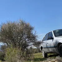 حمل بار سراسر فسا