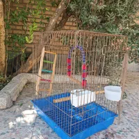 قفس پرنده،خرگوش