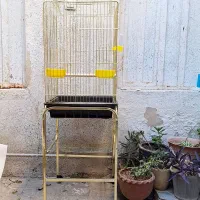 12مدل قفس عروس هلندی،کاسکو،گرینجیک،مینا،۴۲و۵۲|لوازم جانبی حیوانات|شیراز, کوی زهرا|دیوار