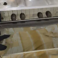 اجاق گاز فر دار پردیسان|اجاق گاز و لوازم برقی پختوپز|تهران, قناتکوثر|دیوار