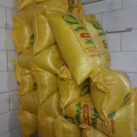 برنج هاشمی|عمدهفروشی|قم, دانش|دیوار