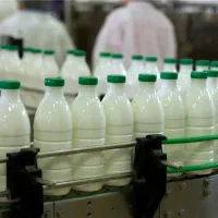 استخدام کارگر لبنیات روزانه گرگان