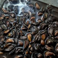 ترشی سیر7ساله خوشمزه ولذیز