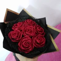 جوجه عروس هلندی|پرنده|جهرم, |دیوار