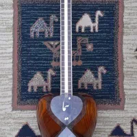 تعویض تار معمولی باتار حرفه ایی