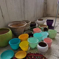 گلدان خالی|گل و گیاه طبیعی|تهران, شهرک زینبیه|دیوار