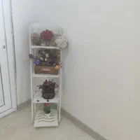 گل  آپارتمانی و گلدان|گل و گیاه طبیعی|جم, |دیوار