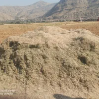 کاه ماش (ماشک)