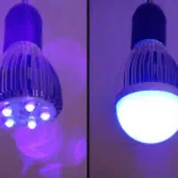 لامپ بلک لایت|لامپ و چراغ|هرمز, |دیوار