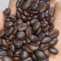 باریستا و کارگر ساده جهت کافه بیرون بر