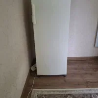 فریزر|یخچال و فریزر|رشت, دیلمان|دیوار