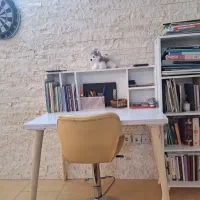 میز تحریر در مدلهای مختلف (آک)