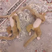 2تا عروسک میمون