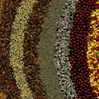 مشاوره و درمان زود انزالی