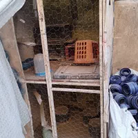 قفس پرنده دو طبقه