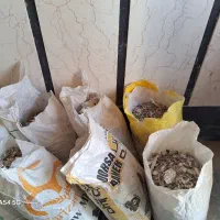 کود کبوتر کیلویی ۸۰۰۰تومان