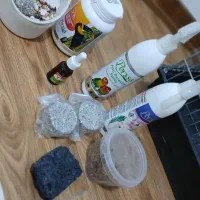 چهار عدد عروس هلندی|پرنده|تهران, شهرک آسمان|دیوار