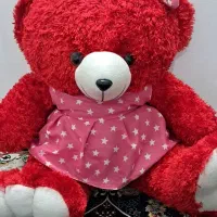 خرس شاسخین