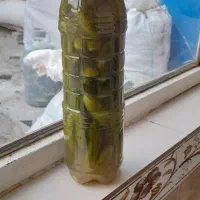 فروش انواع خیارشور دبه وبطری وانواع حبوبات