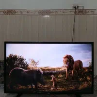 تلوزیون LG