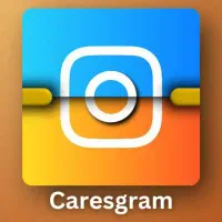 استخدام نیرو / تولید محتوا / اینستاگرام/ برندینگ