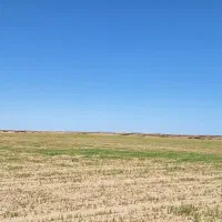 اجاره زمین کشاورزی حاصلخیز مفت