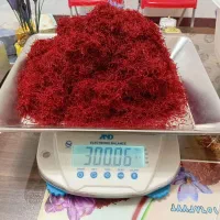 زعفران درجه یک