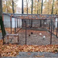 قفس نگهداری حیوانات خانگی.مرغ و خروس و کبوتر و..‌