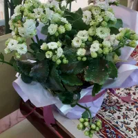 کارمند اداری و حسابدار