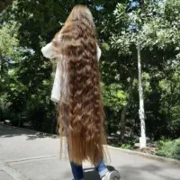 صادرکنده مو خریدار اصلی مو خریدمو فروش مو همدان